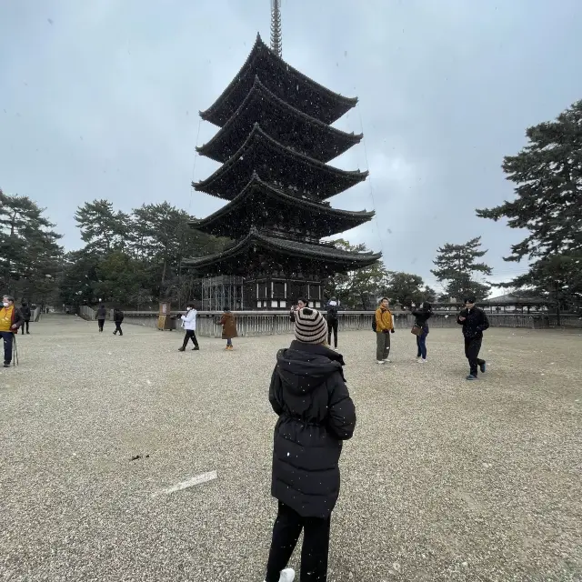 即將維修的興福寺五重塔