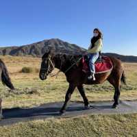 日本阿蘇｜火山騎馬體驗🏇