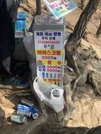 초보도 충분히 등산할 수 있는 서울 근교 광교산 형제봉 코스 ⛰️