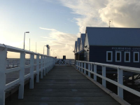 澳洲伯斯 南部☀️巴瑟爾頓長堤（Busselton Jetty）