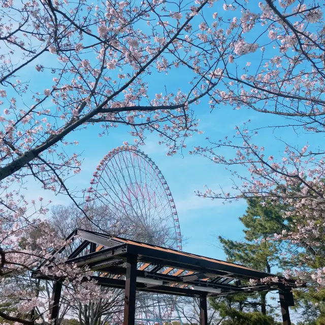 春夏の葛西臨海公園最高〜