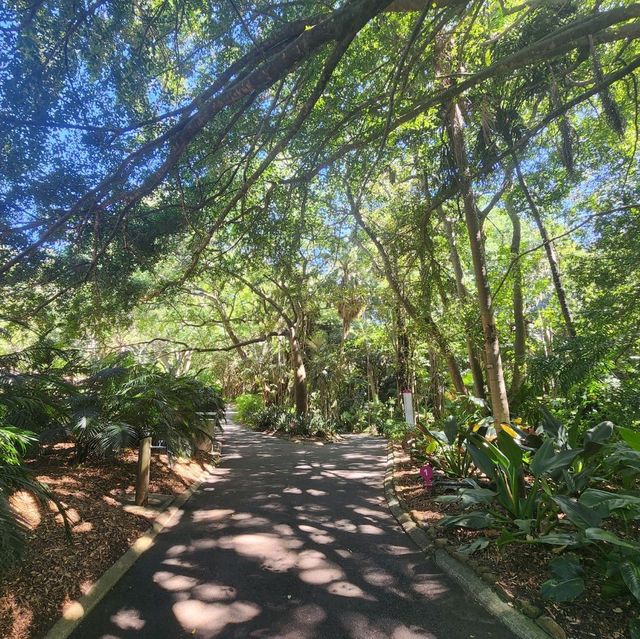 Mount Coot-Tha
