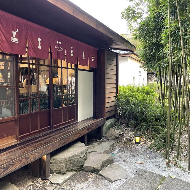 造訪原始竹林的陽明山咖啡廳