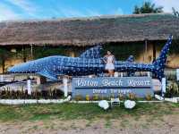Whale sharks🐋 adventure 