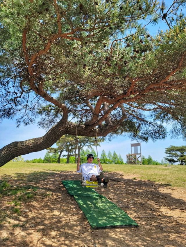 초록 가득한 힐링 한스푼🌿경주 최애여행코스💚