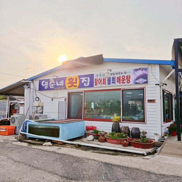 강원도 고성 봉포해변 영순네횟집