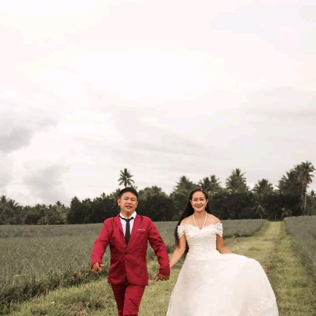 my sister wedding