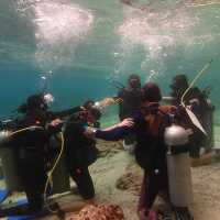 Discover Scuba Dive at Phi Phi Island 