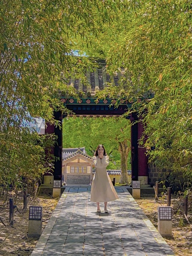 울창한 대나무숲 포토존이 유명한 전주 핫플!🍃🎋