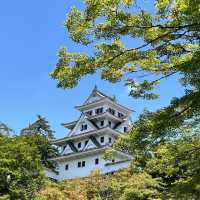 郡上八幡で踊ってみません？
