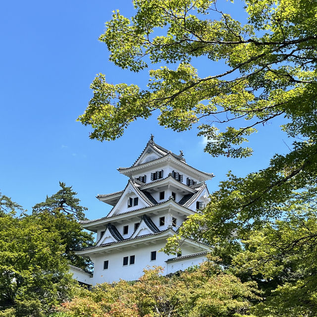 郡上八幡で踊ってみません？