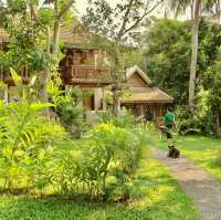 Jumbo Guesthouse on the Mekong 