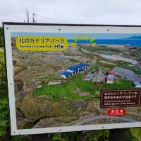 【礼文島】雨が降った時の北海道礼文島の楽しみ方☂