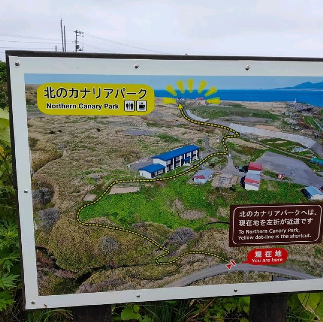 【礼文島】雨が降った時の北海道礼文島の楽しみ方☂
