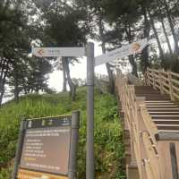 속초 산책하기 좋은 외옹치 바다향기로 🌳