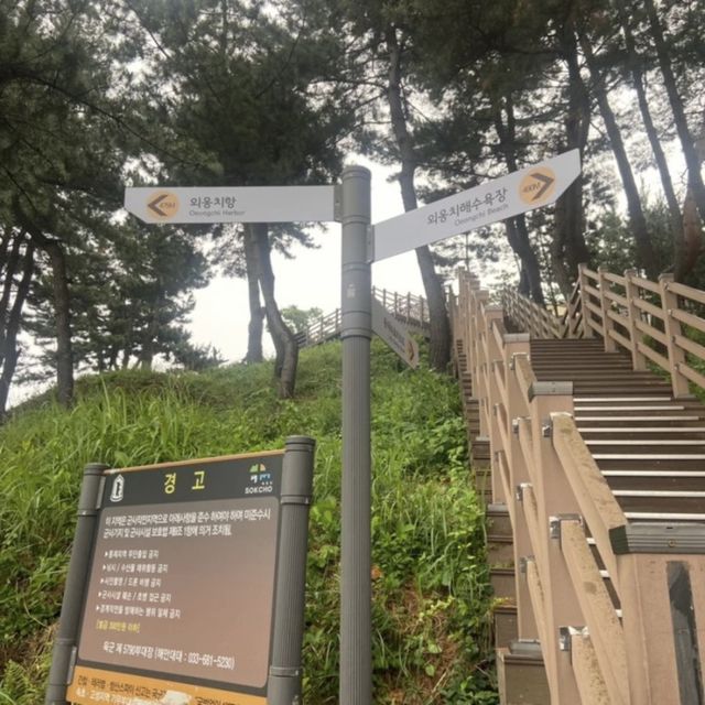 속초 산책하기 좋은 외옹치 바다향기로 🌳