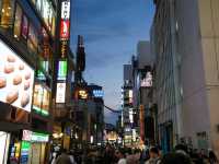 The Night Life Of Osaka