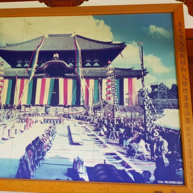 日本必到✍️奈良東大寺