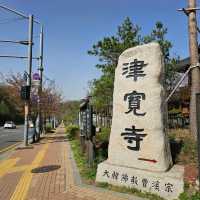 靜靜地去新建韓屋村打卡📸