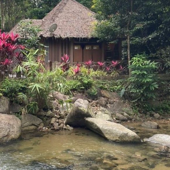 Hidden Gems of Jeli!