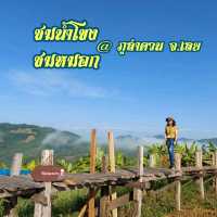ชมน้ำโขง ชมหมอก @ ภูลำดวน จ.เลย