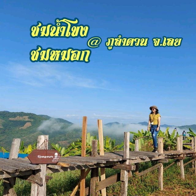 ชมน้ำโขง ชมหมอก @ ภูลำดวน จ.เลย