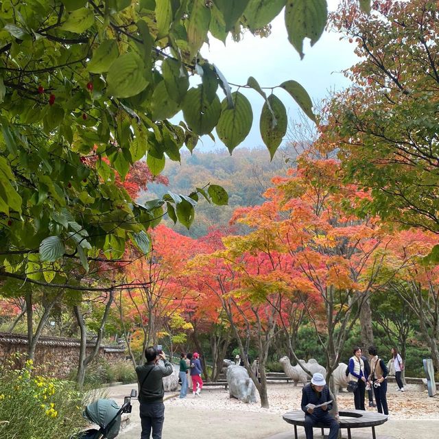 Beautiful autumn view of Hwadam botanicgarden