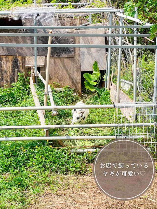 世界が認めた‼️久米島の車海老を味わえる沖縄そば✨