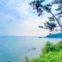여기가 우리나라 바다라구? 이국적인 울산여행지 추천