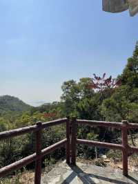 鄰近市區的行山好路線「青衣自然教育徑」