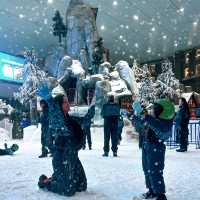A Winter Wonderland in the Middle East