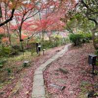 推薦御船山樂園賞楓遊：優惠晚上入場，適合秋天晚上賞楓