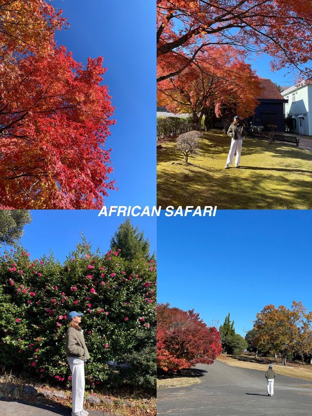 8 ที่เที่ยวภูมิภาคคิวชู ประเทศญี่ปุ่งงง 🍁🍂