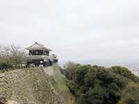 🏯四國愛媛松山城：江戶歷史、花海襯古城🏯