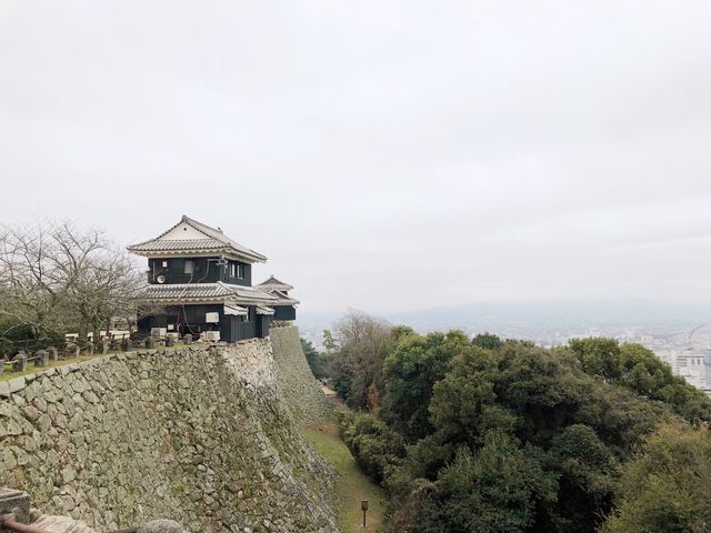 🏯四國愛媛松山城：江戶歷史、花海襯古城🏯