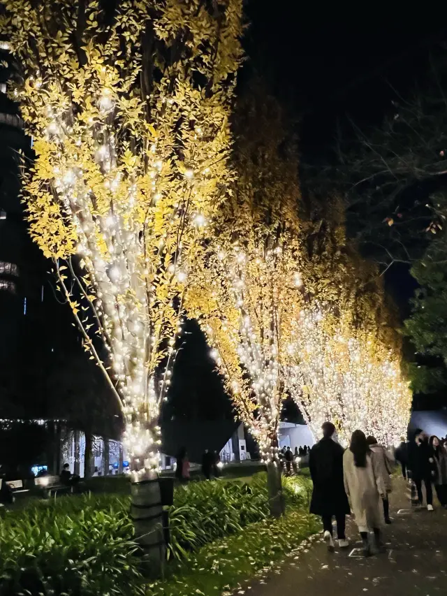 Tokyo Midtown Illumination