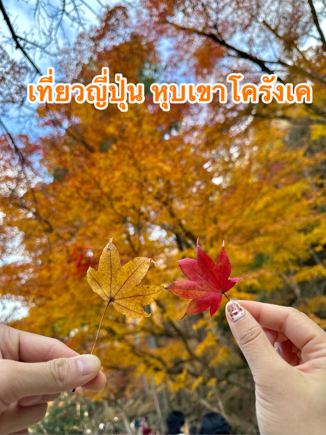 เที่ยวญี่ปุ่นฤดูใบไม้เปลี่ยนสี ที่หุบเขาKorankei🍁