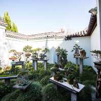 Sydney Chinese Garden of Friendship 