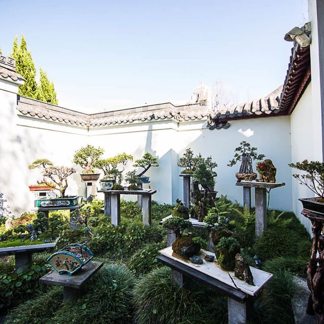 Sydney Chinese Garden of Friendship 