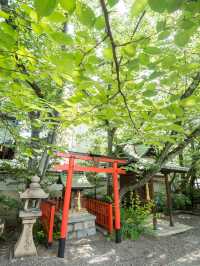 【初夏の新緑を味わおう！🌿】滋賀県・湖西エリアの新緑オススメスポット紹介&コース紹介！🚃✨