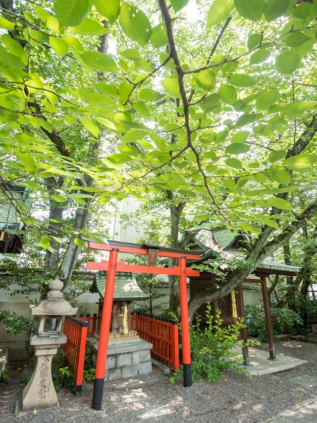 【初夏の新緑を味わおう！🌿】滋賀県・湖西エリアの新緑オススメスポット紹介&コース紹介！🚃✨