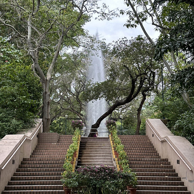 홍콩 구룡공원에서 즐기는 자연 속에서의 힐링 🌴