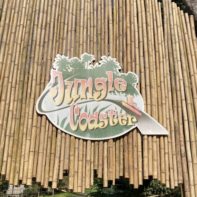 🎢PONGYANG JUNGLE COASTER ZIPLINE CAMP & RESORT