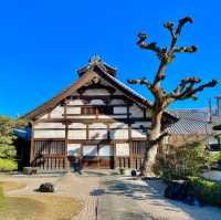 Shofukuji Serenity: Timeless Tranquility