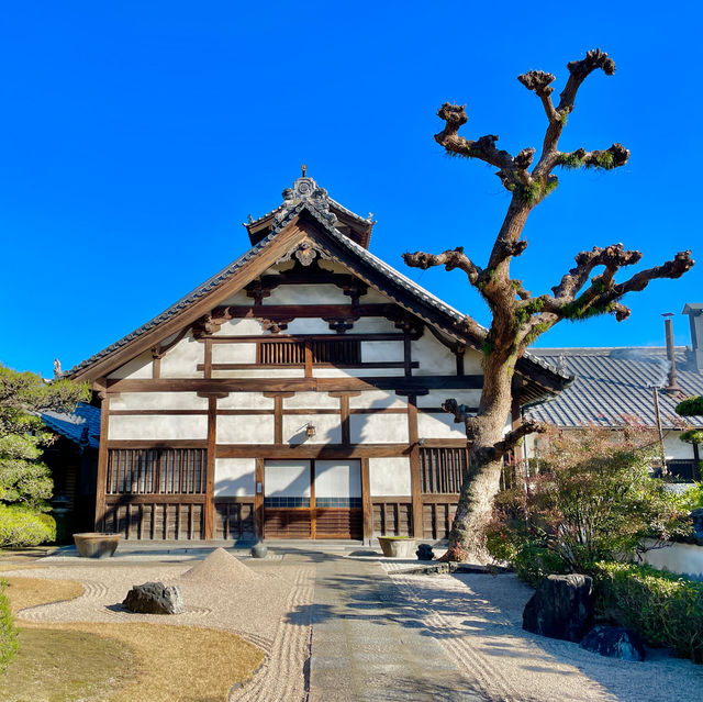 Shofukuji Serenity: Timeless Tranquility