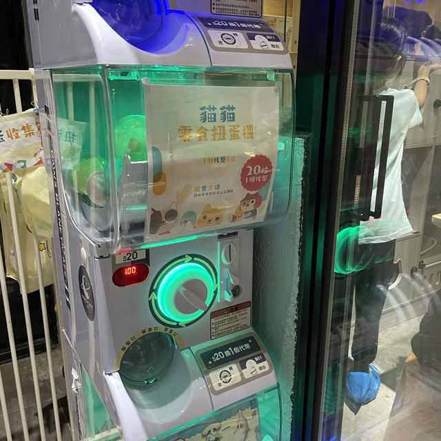 香港屯門｜布偶貓喵星球餐廳