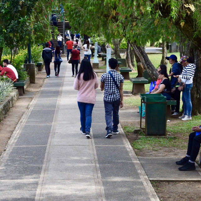 People's favorite place in Baguio 