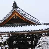 雪中遊玩🎿常念寺 