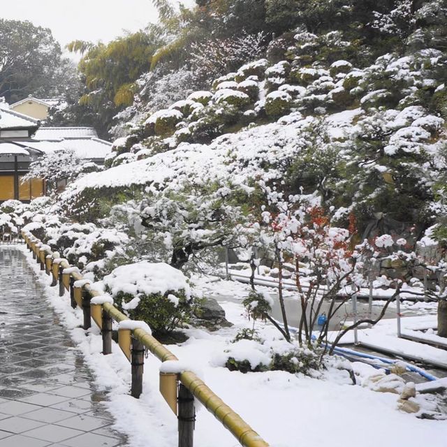 雪中遊玩🎿常念寺 