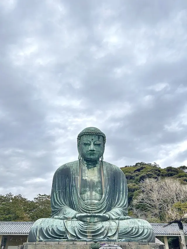 가마쿠라 대불상 구경🇯🇵